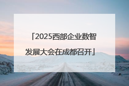 2025西部企业数智发展大会在成都召开